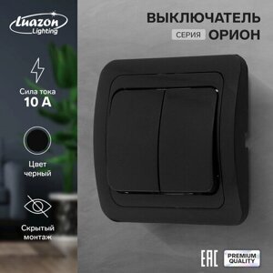 Выключатель Luazon Lighting "Орион", 10 А, 2 клавиши, скрытый, черный