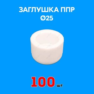 Заглушка полипропиленовая 25 (100 шт)