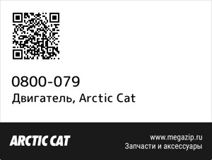 Двигатель Arctic Cat 0800-079