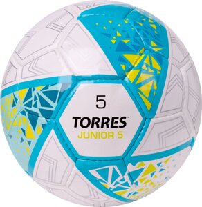 Мяч футбольный Torres Junior-5 F323805 р. 5