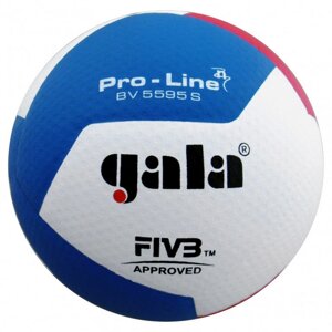 Мяч волейбольный Gala Pro-Line 12 FIVB BV5595S р. 5