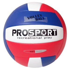 Мяч волейбольный Sportex E40006-1 р. 5
