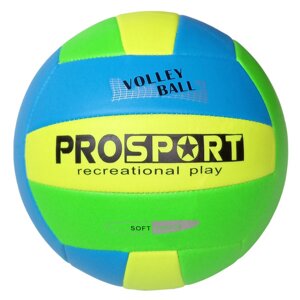 Мяч волейбольный Sportex E40006-2 р. 5
