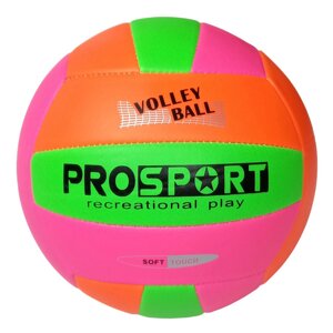 Мяч волейбольный Sportex E40006-4 р. 5