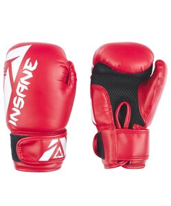 Перчатки боксерские Insane MARS, ПУ, красный, 10 oz