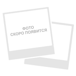 Решетка №2 к мясорубке Торгмаш, Барановичи МИМ-600 ЧБ