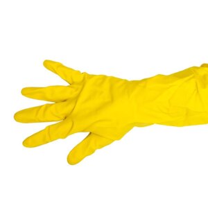 Резиновые перчатки (размер S) Professional Paclan | 139200