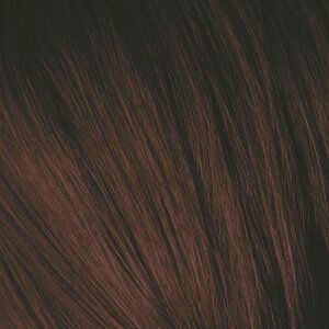 SCHWARZKOPF PROFESSIONAL 4-68 краска для волос Средний коричневый шоколадный красный / Igora Royal 60 мл
