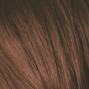 SCHWARZKOPF PROFESSIONAL 6-6 краска для волос Темный русый шоколадный / Igora Royal 60 мл