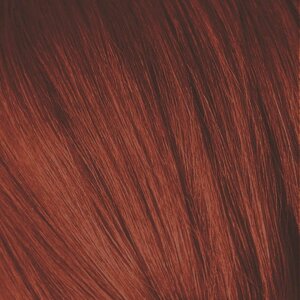 SCHWARZKOPF PROFESSIONAL 6-88 краска для волос Темный русый красный экстра / Igora Royal Extra 60 мл