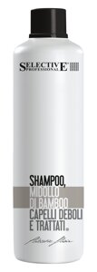 SELECTIVE PROFESSIONAL Шампунь с вытяжкой из бамбука для химически обработанных волос / Midollo ARTISTIC FLAIR 1000 мл