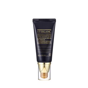 STEBLANC ВВ крем с муцином черной улитки, 02 бежевый / Black Snail Repair BB Cream 50 мл