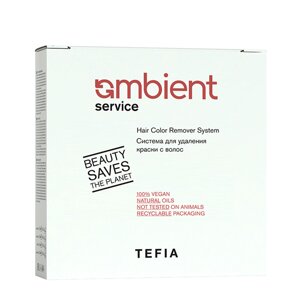 TEFIA Система для удаления краски с волос (лосьон 120 мл + лосьон 120 мл + паста 60 гр + окислитель 9% 120 мл) AMBIENT Service