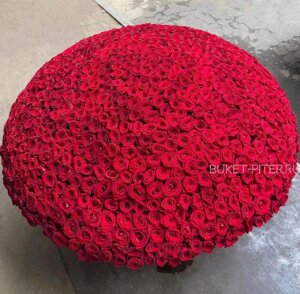 1001 Красная Роза в Корзине