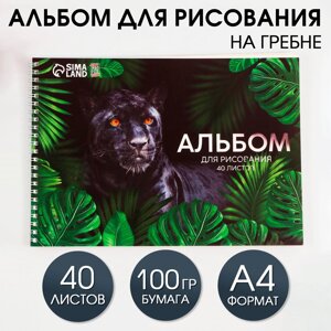 Альбом для рисования 40 листов а4 на пружине