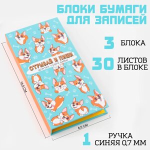 Блок бумаг для записей 3 блока по 30 листов, стикеры, ручка шариковая синяя 0.7 мм