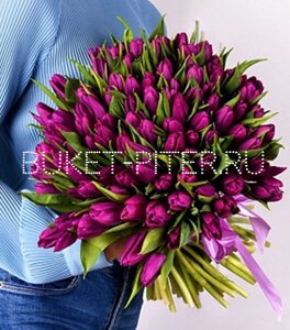 Букет из 101 Фиолетового Тюльпана в атласной ленте