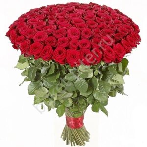 Букет из 101 розы красной