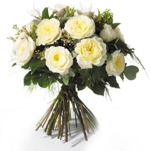Букет из 13 белых пионовидных роз