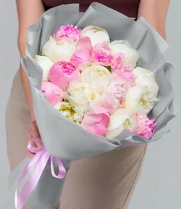 Букет из 19 Розовых и Белых Пионов в Матовой упаковке LUX