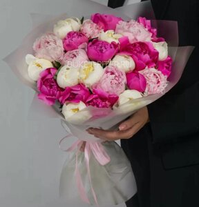 Букет из 25 Белых, Малиновых и Розовых Пионов в Матовой упаковке LUX