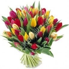 Букет из 35 разноцветных тюльпанов