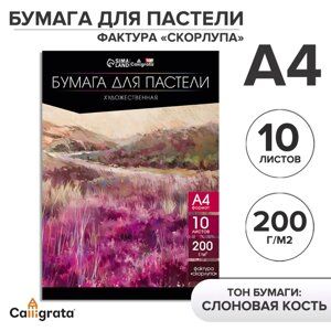 Бумага для пастели а4, 10 листов,