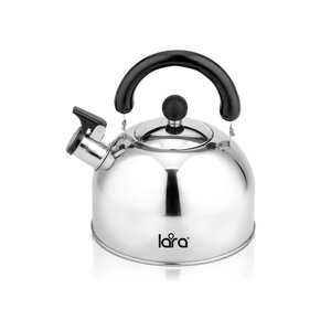 Чайник для плиты LARA LR00-40 зеркальный