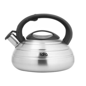 Чайник для плиты LARA LR00-80 SS