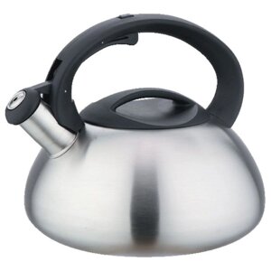 Чайник для плиты WEBBER BE-0587/1 сатин