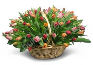 Корзина с 69 разноцветными тюльпанами в корзине