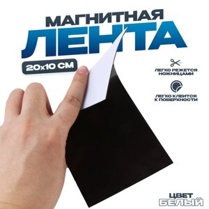 Магнитная лента