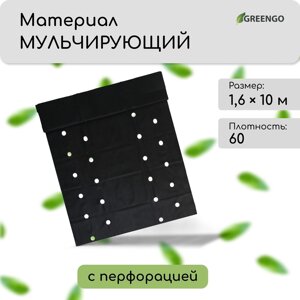Материал мульчирующий, 10 1.6 м, плотность 60 г/м²спанбонд с уф-стабилизатором, четыре ряда перфорации, черный, greengo