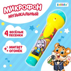 Микрофон музыкальный