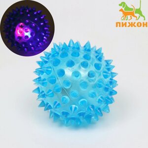 Мяч светящийся для собак средний, tpr, 5,5 см, голубой