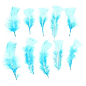 Набор перьев для декора 10 шт., размер 1 шт: 10 4 см, цвет голубой