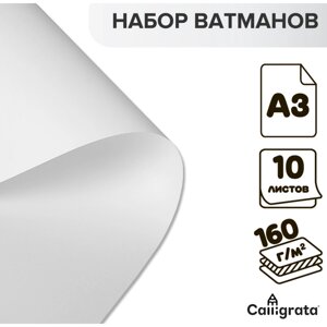 Набор ватманов чертежных а3, 160 г/м²10 листов