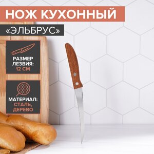Нож кухонный для цитрусовых доляна