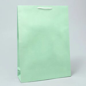 Пакет подарочный ламинированный, упаковка, green, l 28 х 38 х 9 см