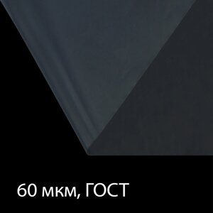 Пленка полиэтиленовая 60 мкм, прозрачная, длина 10 м, ширина 3 м, рукав (1.5 м 2), гост 10354-82