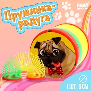 Пружинка - радуга