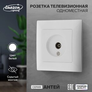 Розетка телевизионная одноместная luazon lighting