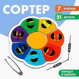 Сортер монтессори для детей