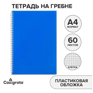 Тетрадь на гребне a4 60 листов в клетку calligrata синяя, пластиковая обложка, блок офсет