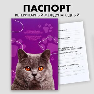 Ветеринарный паспорт международный универсальный для кошек