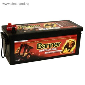 Аккумуляторная батарея Banner 145 Ач Buffalo Bull 645 03 SHD, PROfessional