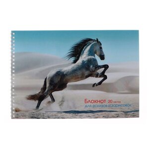 Альбом для эскизов А4, 20 листов на гребне "Грациозная лошадь", обложка мелованный картон, блок офсет 80 г/м2