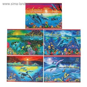 Альбом для рисования А4, 12 листов на скрепке Hatber "Дельфины", блок 100 г/м2, МИКС