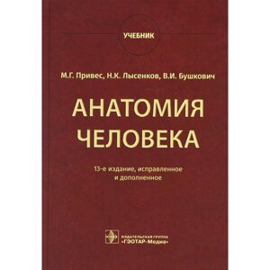 Анатомия человека. 13-е издание, исправленное и дополненное. Привес М. Г., Лысенков Н. К., Бушкович В. И.