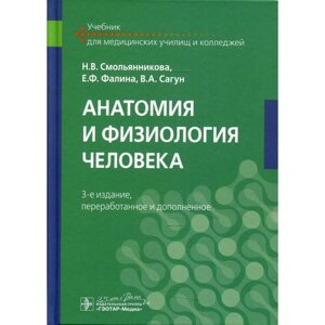 Анатомия и физиология человека. 3-е издание, переработанное и дополненное. Смольянникова Н. В., Фалина Е. Ф., Сагун В. А.